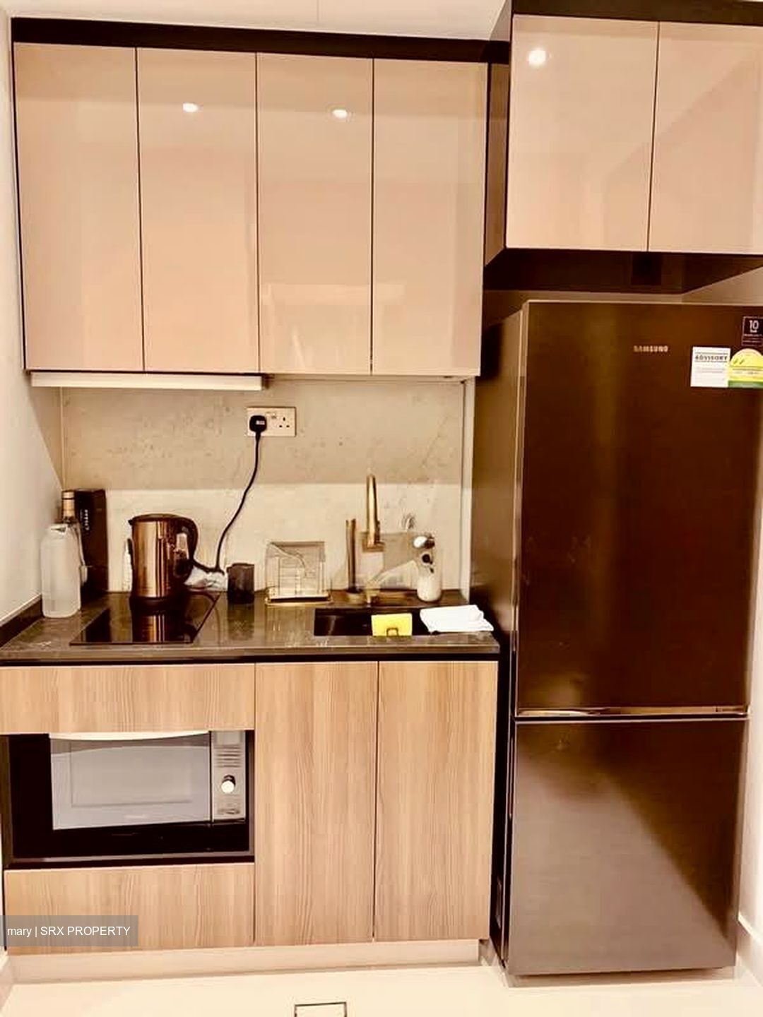 Loft @ Nathan (D10), Apartment #566305661
